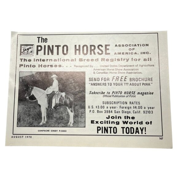 Pinto Horse Breeders Association Vintage Print Ad 1970s Horse Registry San Diego - Picture 6 of 6